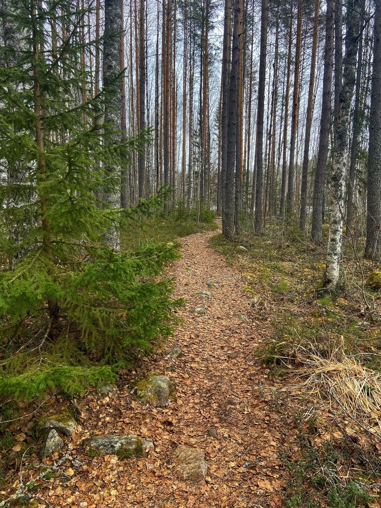 Photograph by Oksana Smorodina