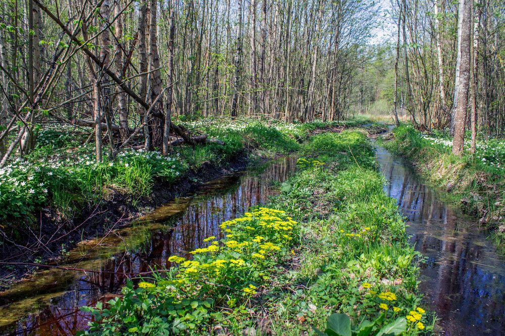 Photograph by Анна Евдокименко
