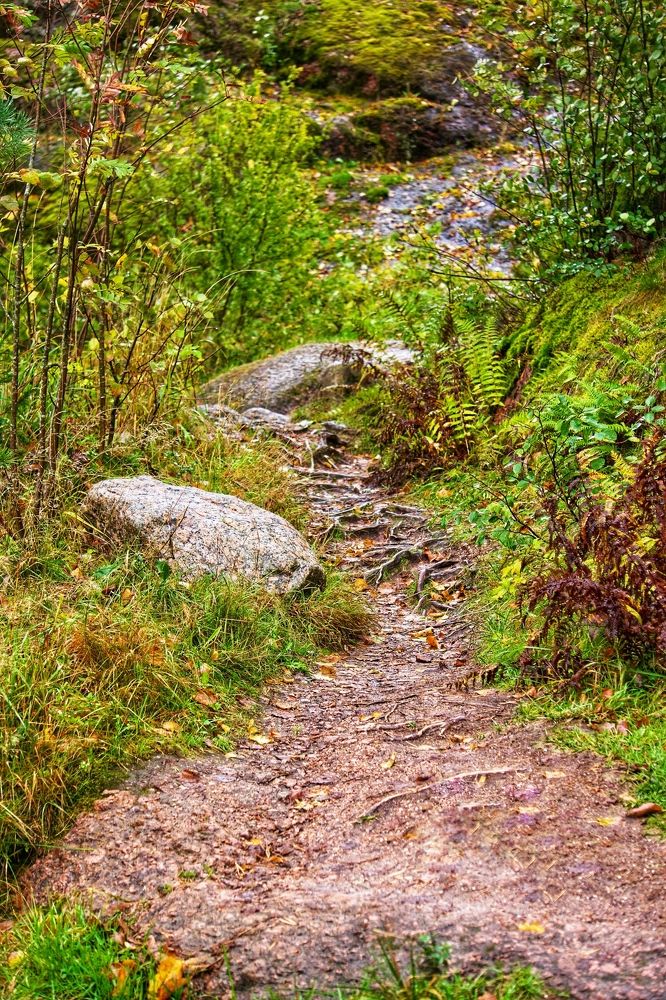 Photograph by Oksana Smorodina