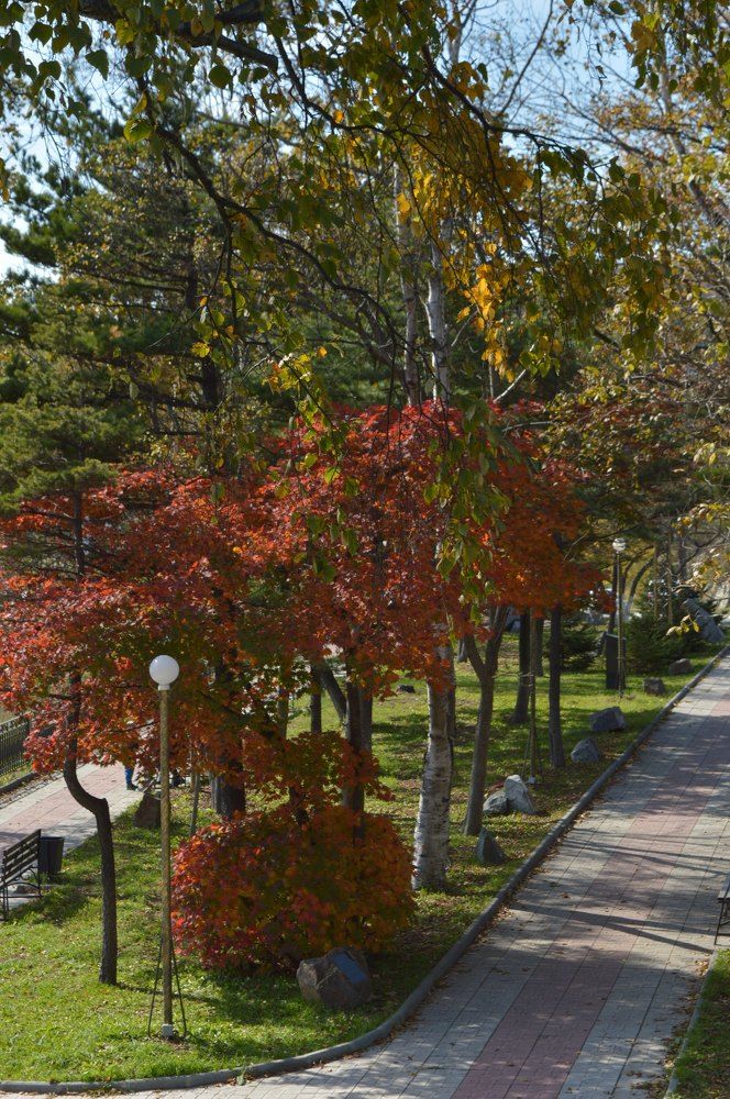 Photograph by Natalia Kopeva