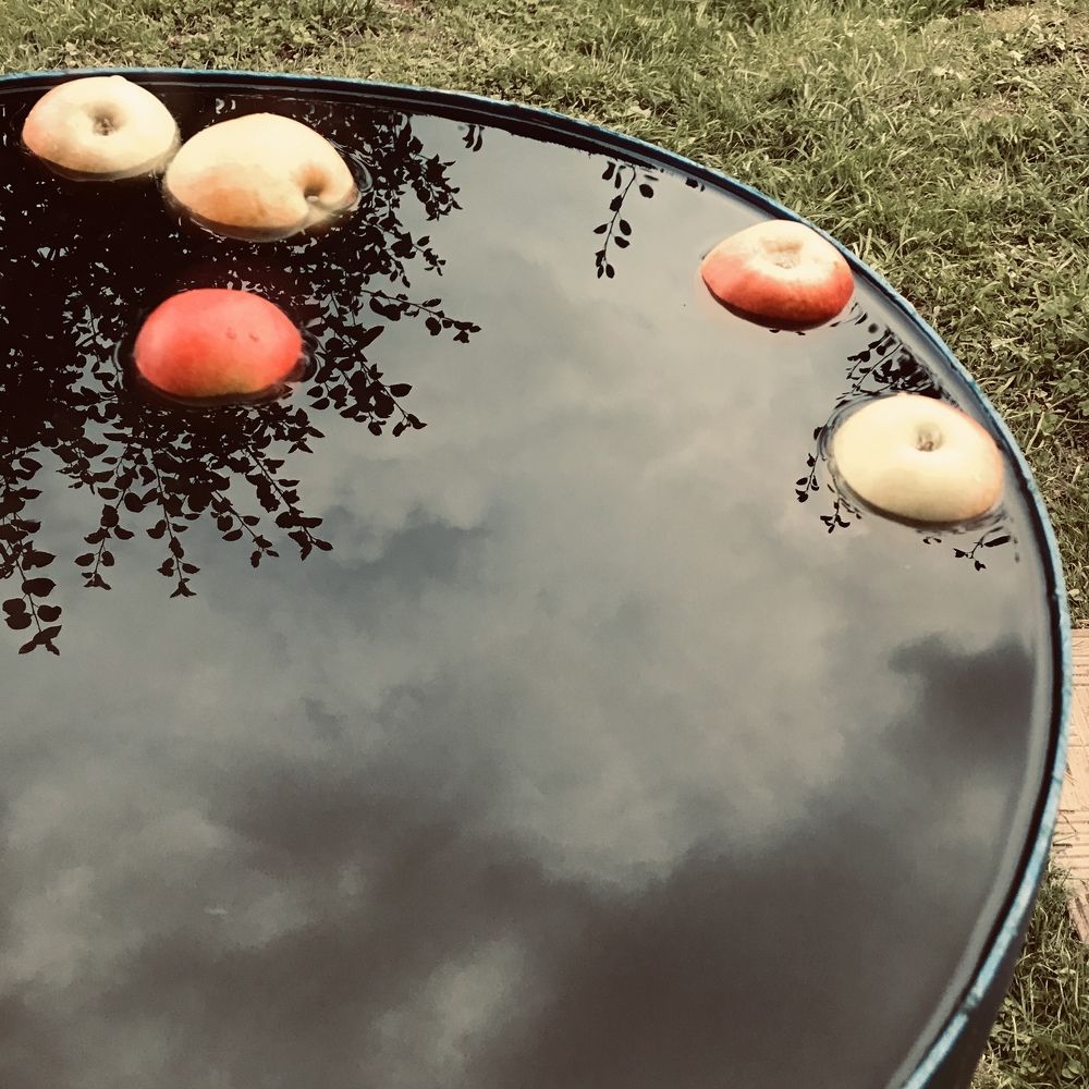 Фотография автора Catherine Mils