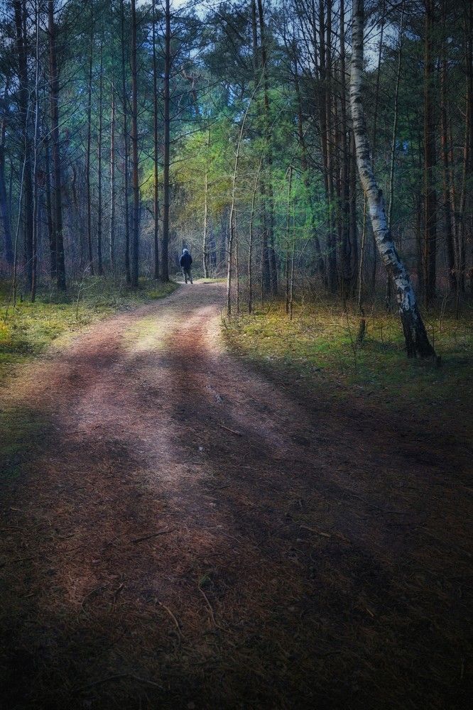 Photograph by Татьяна Максакова