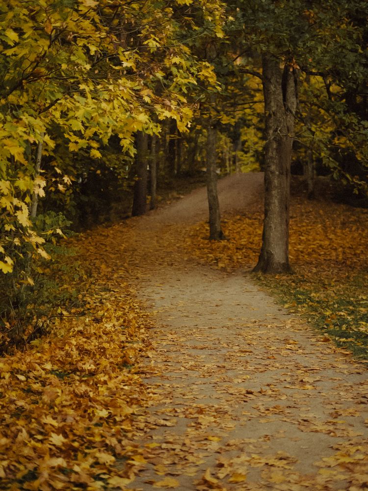 Photograph by Ksenija Bartoško