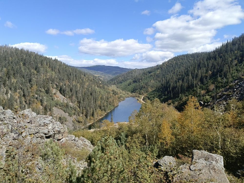 Photo #11231533