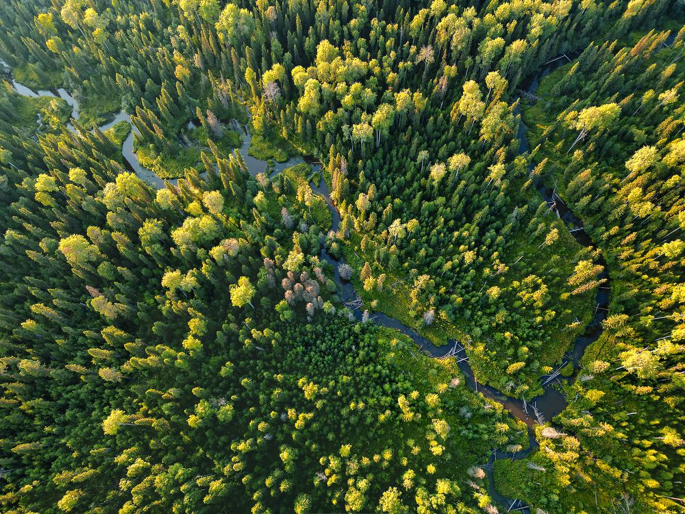 Photograph by Сильва Татьяна