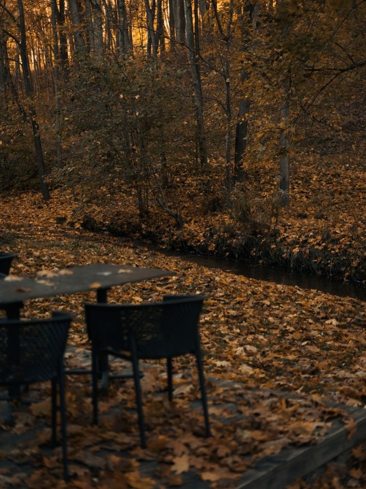 Photograph by Ksenija Bartoško