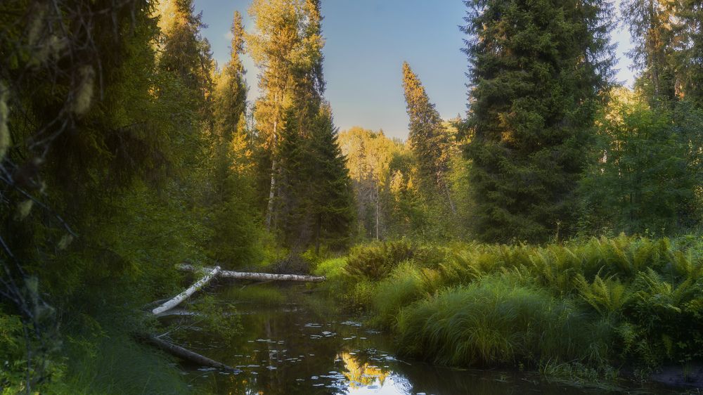 Photograph by Сильва Татьяна