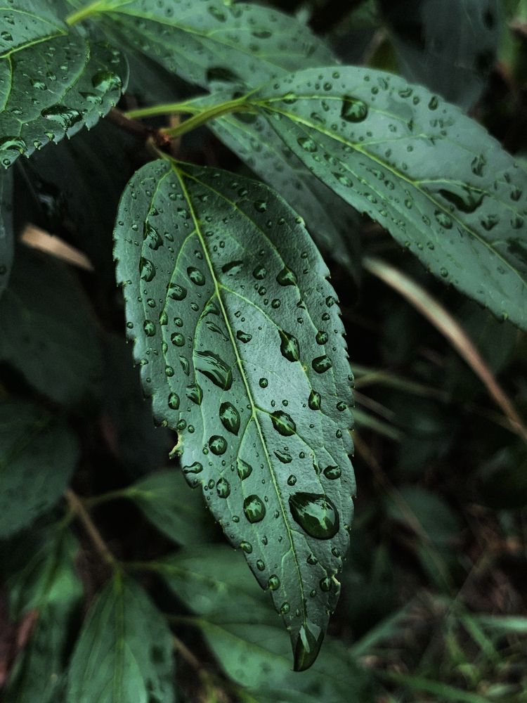 Photograph by Карина