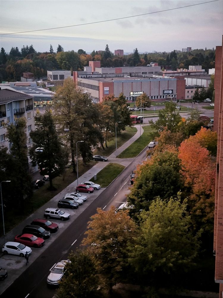 Photograph by Ksenija Bartoško