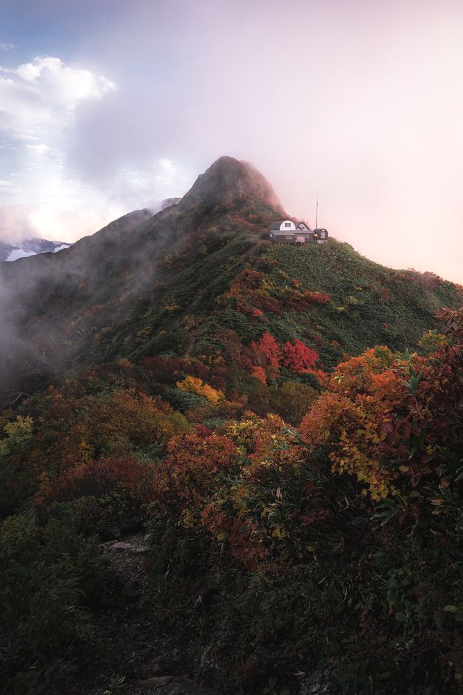 Photograph by Kaneko Atsushi