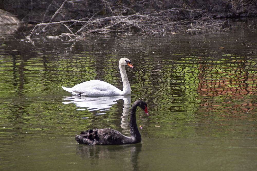 Photograph by Наталья Коржова