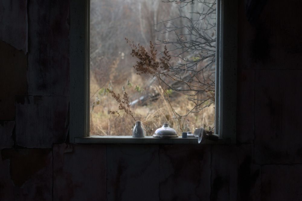 Photograph by Елена Ласун