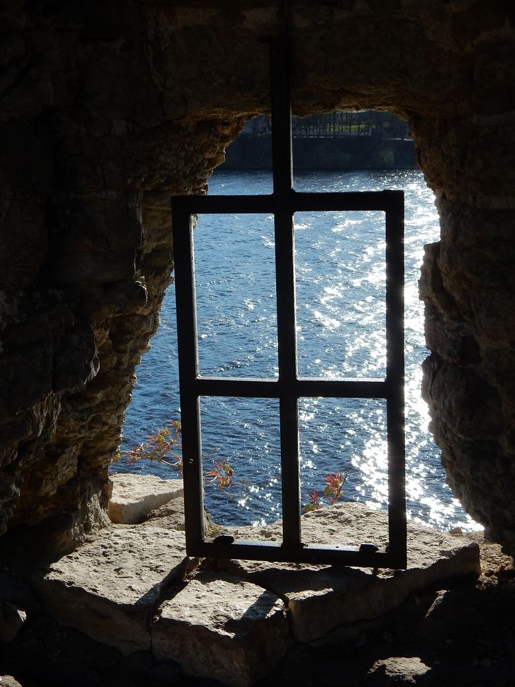 Photograph by Елена Гуляева