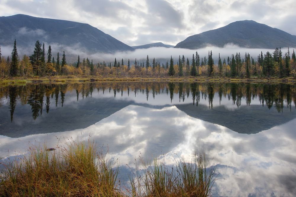 Фотография автора Ольга Белоусова