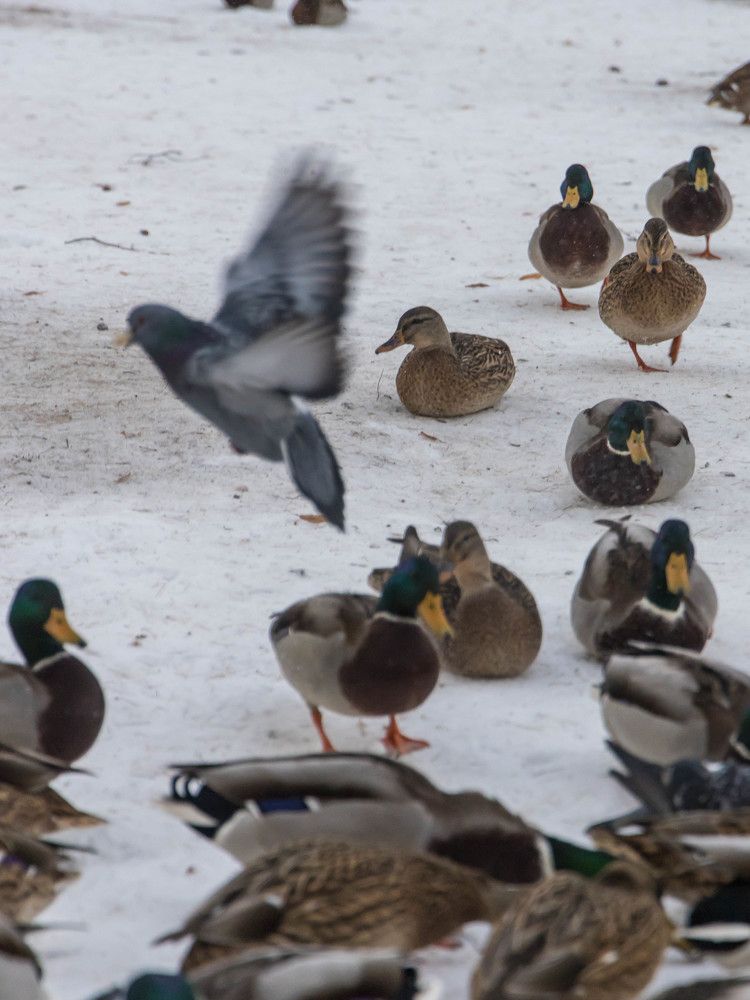 Photograph by Максим Фролов