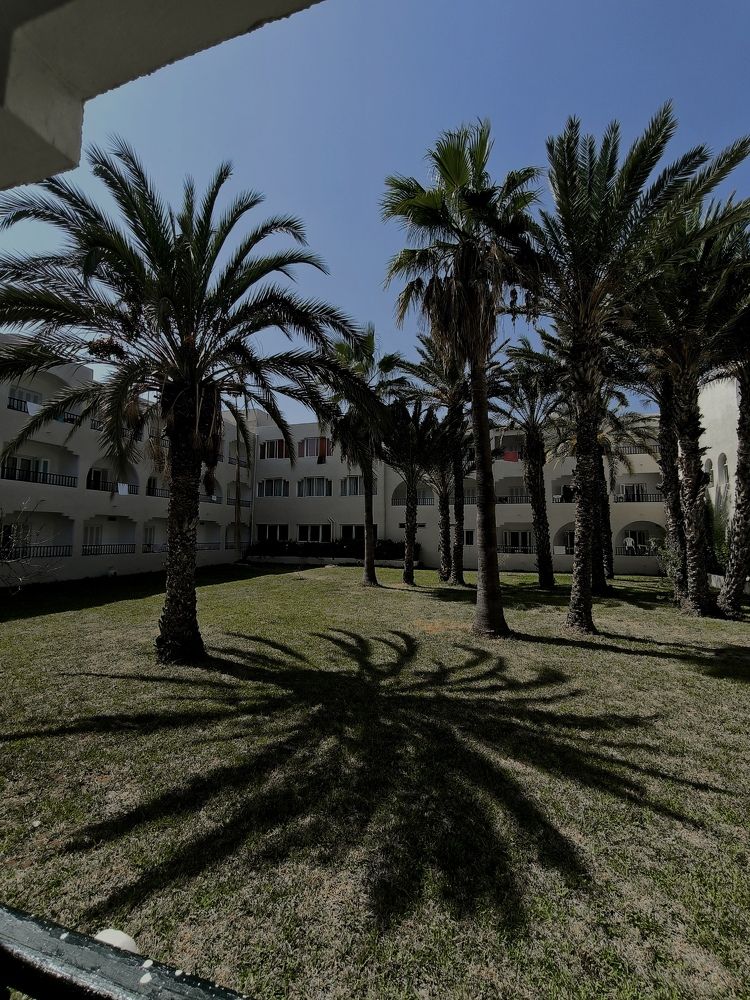 Photograph by Ksenija Bartoško