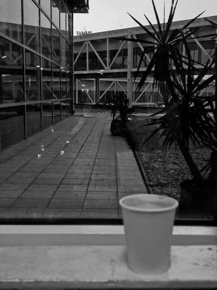 Photograph by Ksenija Bartoško