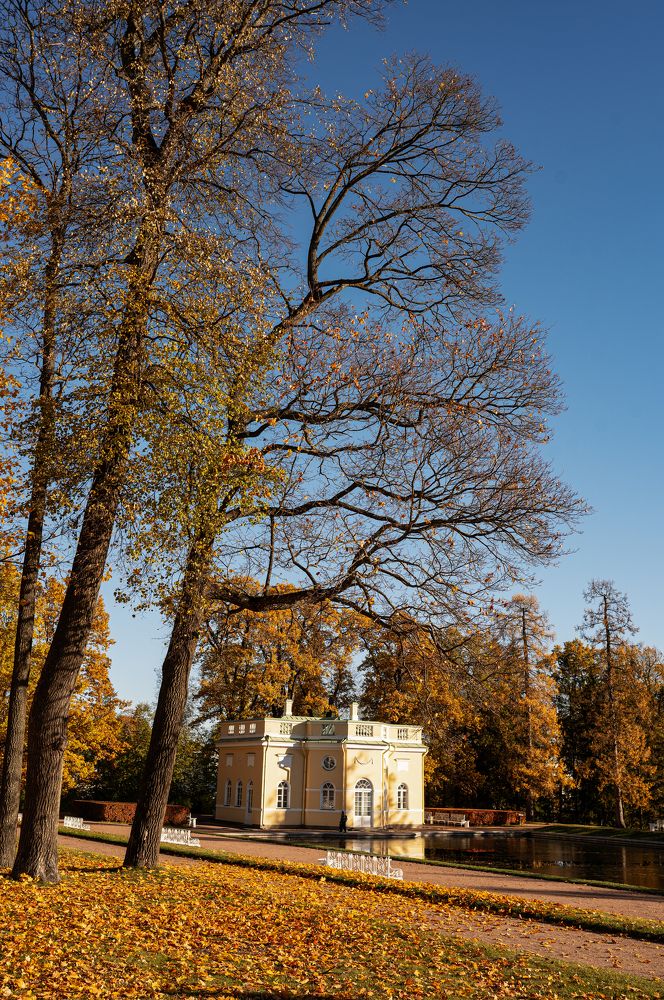 Photograph by Наталья Гришаева