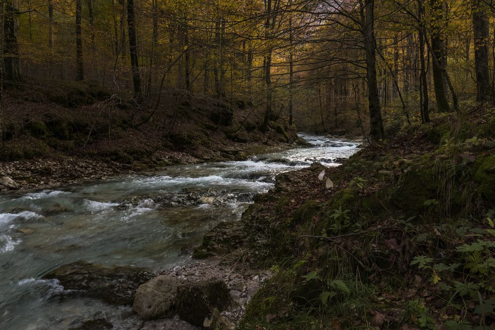 Photograph by Davide Imbrauglio