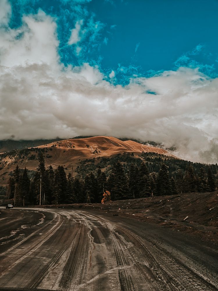 Photograph by Ангелина Ледовская