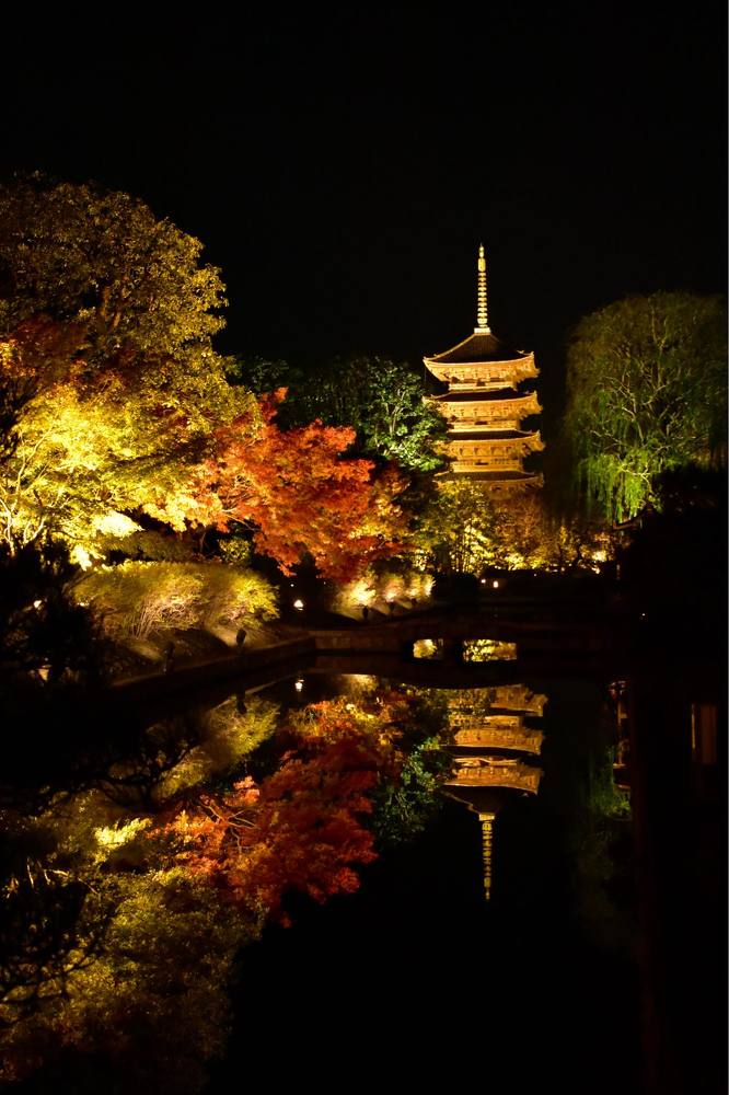 Фотография автора Sen Abhijit