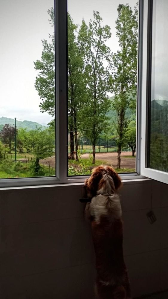 Фотография автора Ольга Костенко