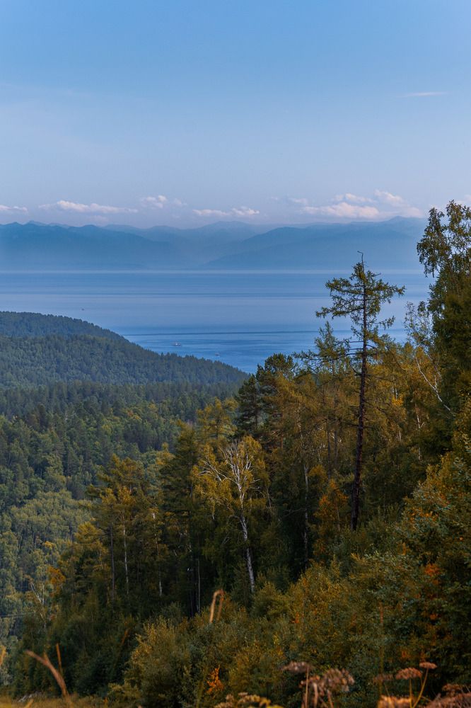 Photograph by Дарья