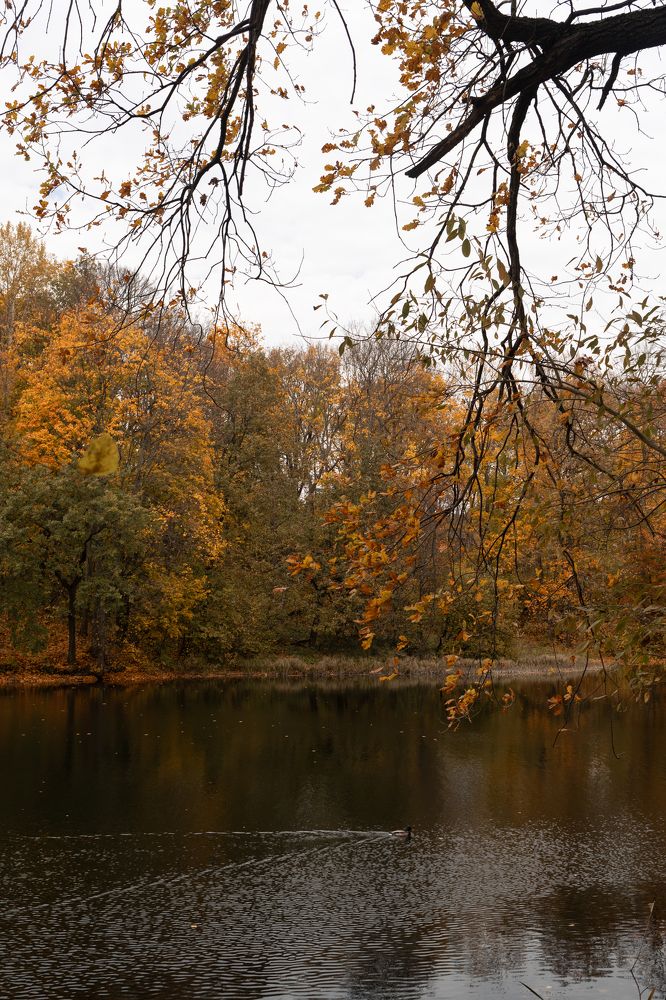 Photograph by Юлия Шевцова