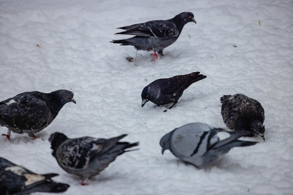 Photograph by Максим Фролов