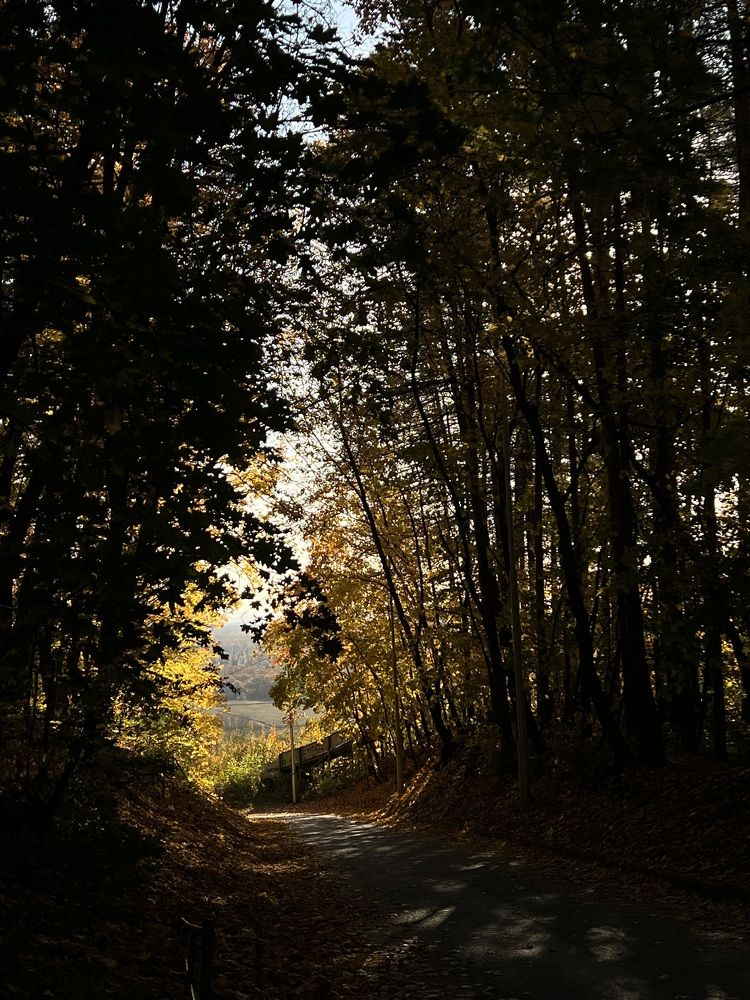 Photograph by Анастасия Прокопенко