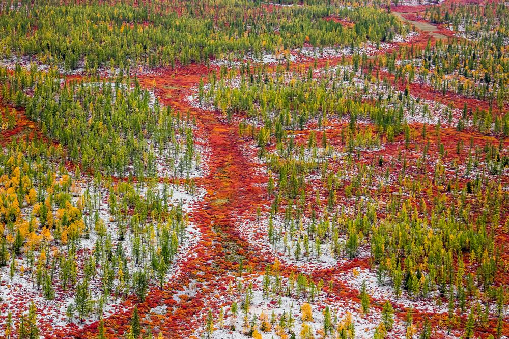 Photograph by Kozionov Pavel