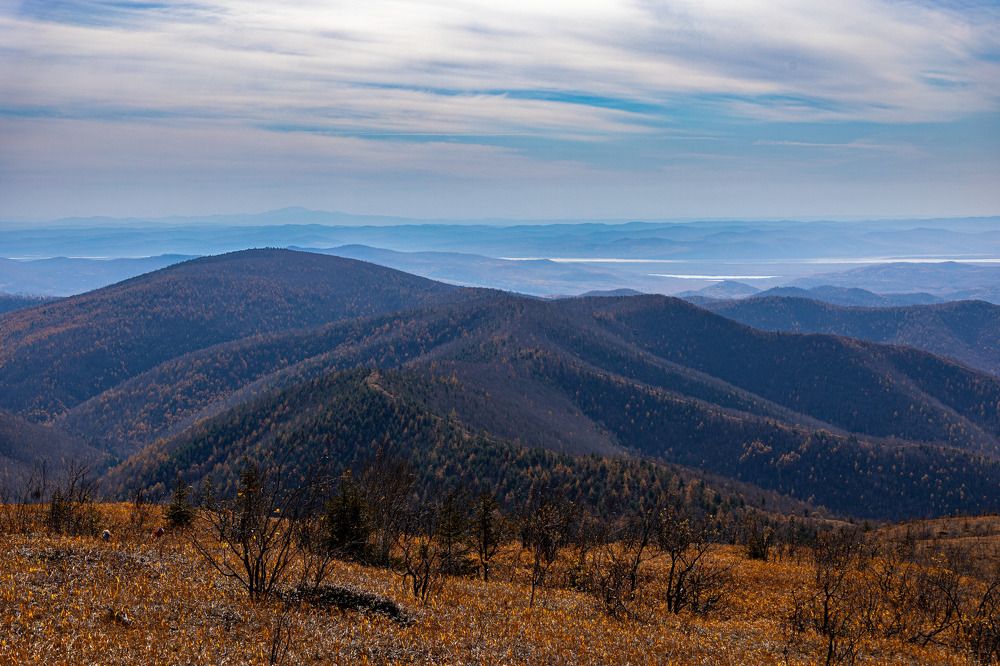 Photograph by Дарья