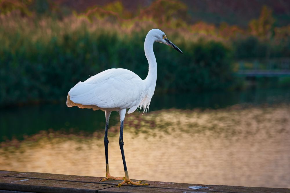 Photograph by David Solodar