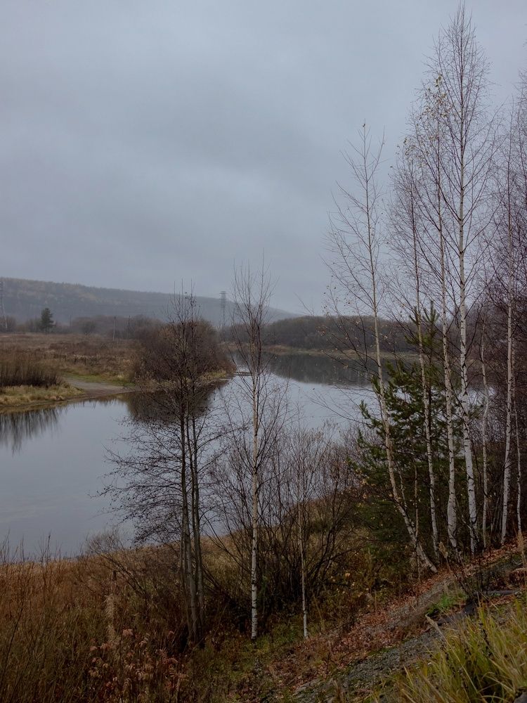 Photograph by Юсупова Елена