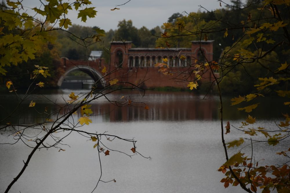 Фотография автора Catherine Mils