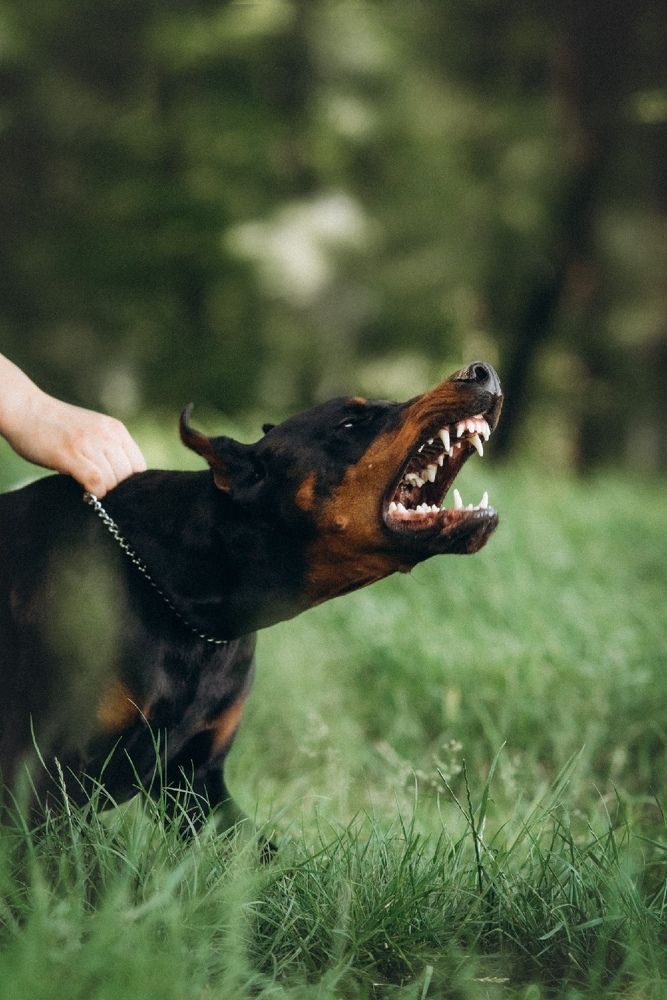 Photograph by Ангелина Ледовская