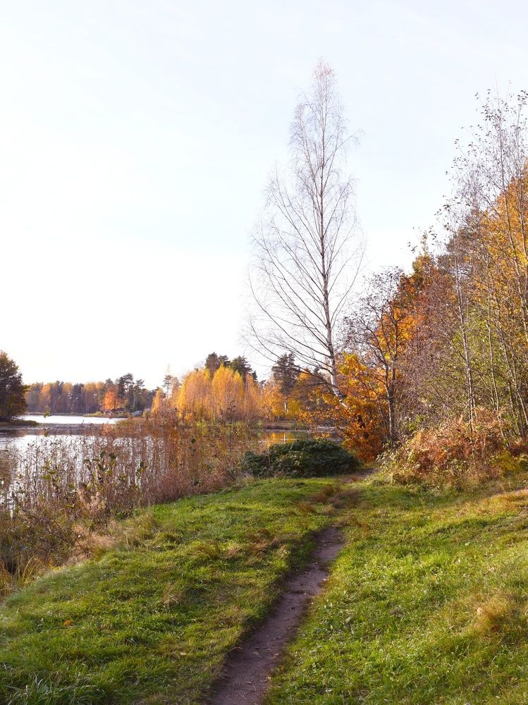 Photograph by Елена Павлова