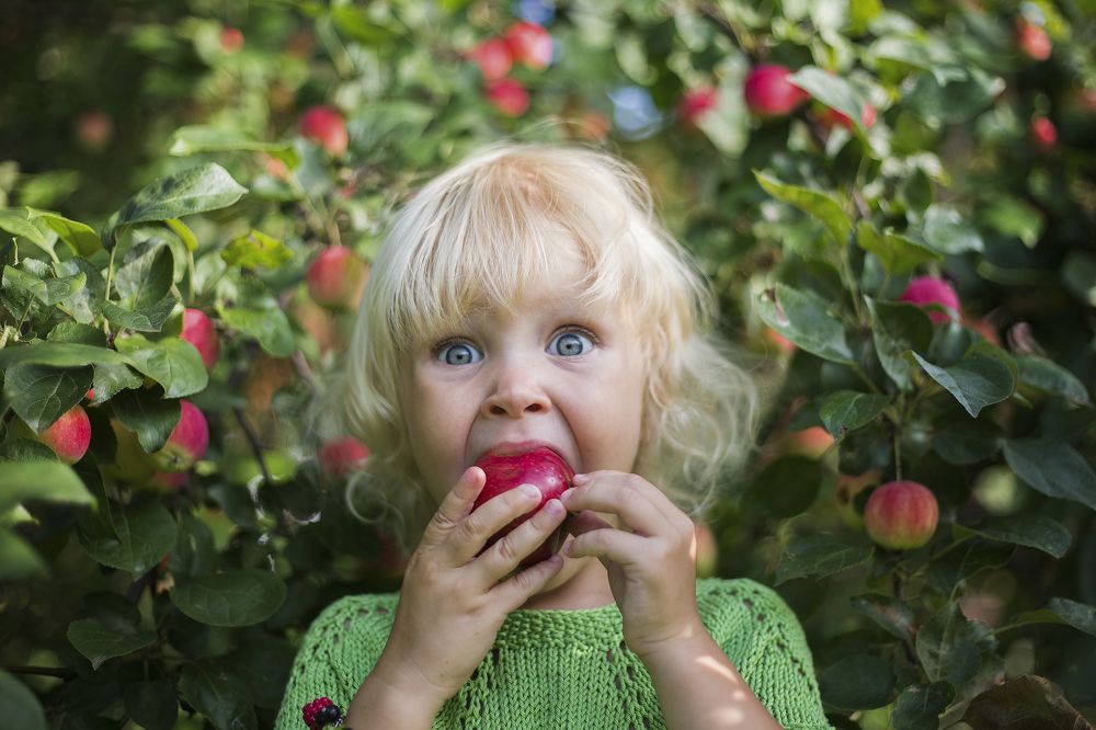 Яблочный Спас