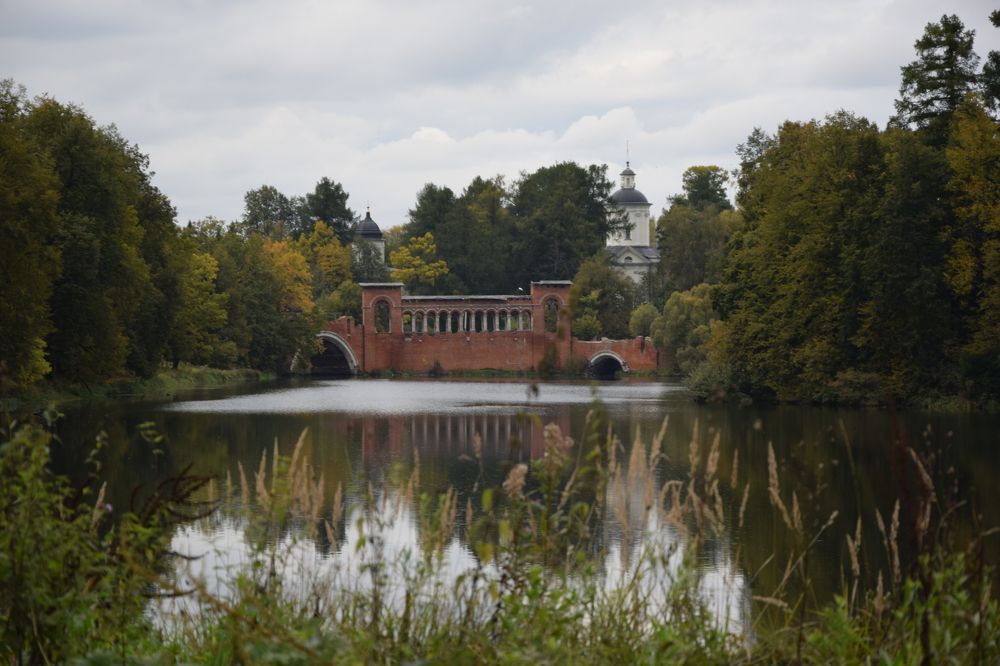 Фотография автора Catherine Mils