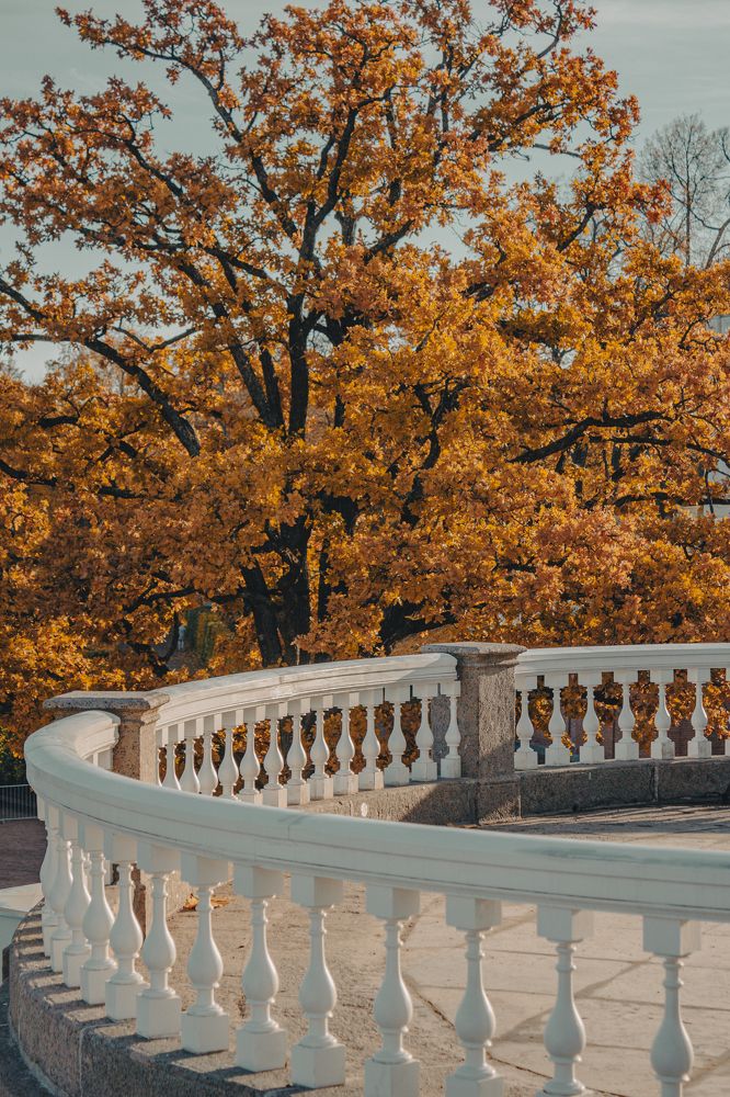 Фотография автора Таисия