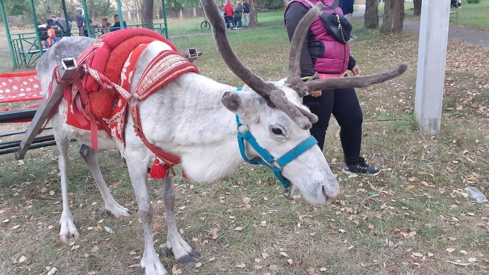 Photograph by Елена Лещева