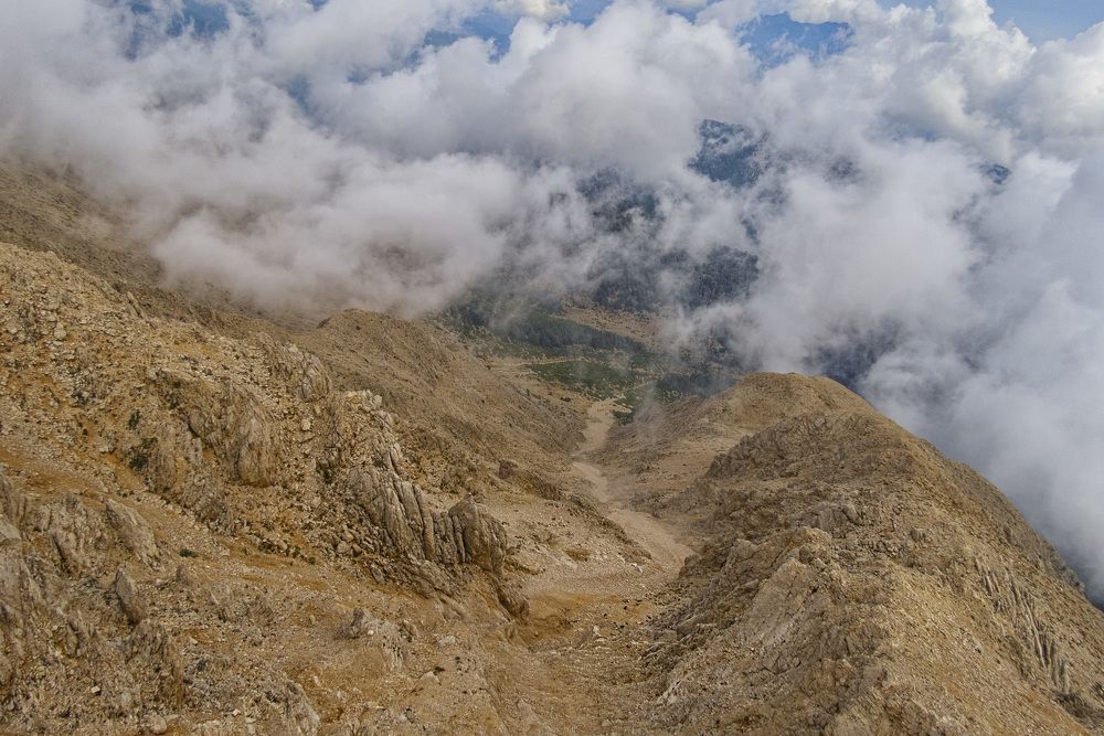 Photograph by Цветков Сергей