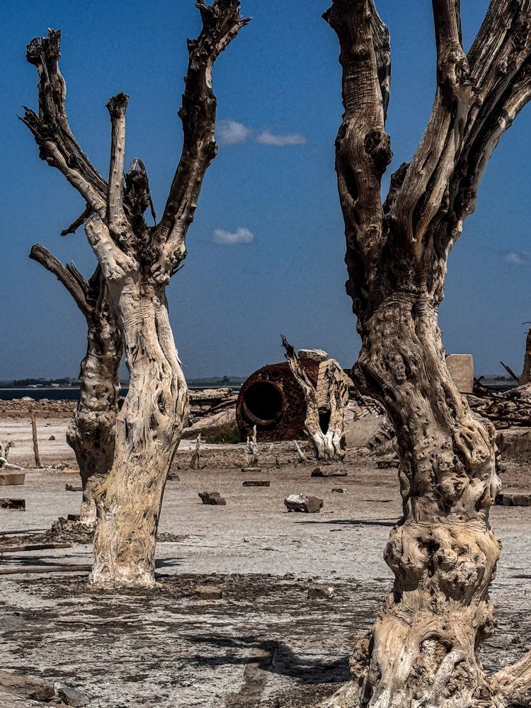 Photograph by Maria Julieta ZURZOLO