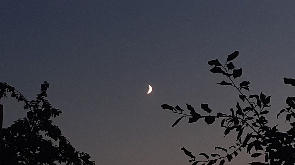 Photograph by Елена Лещева