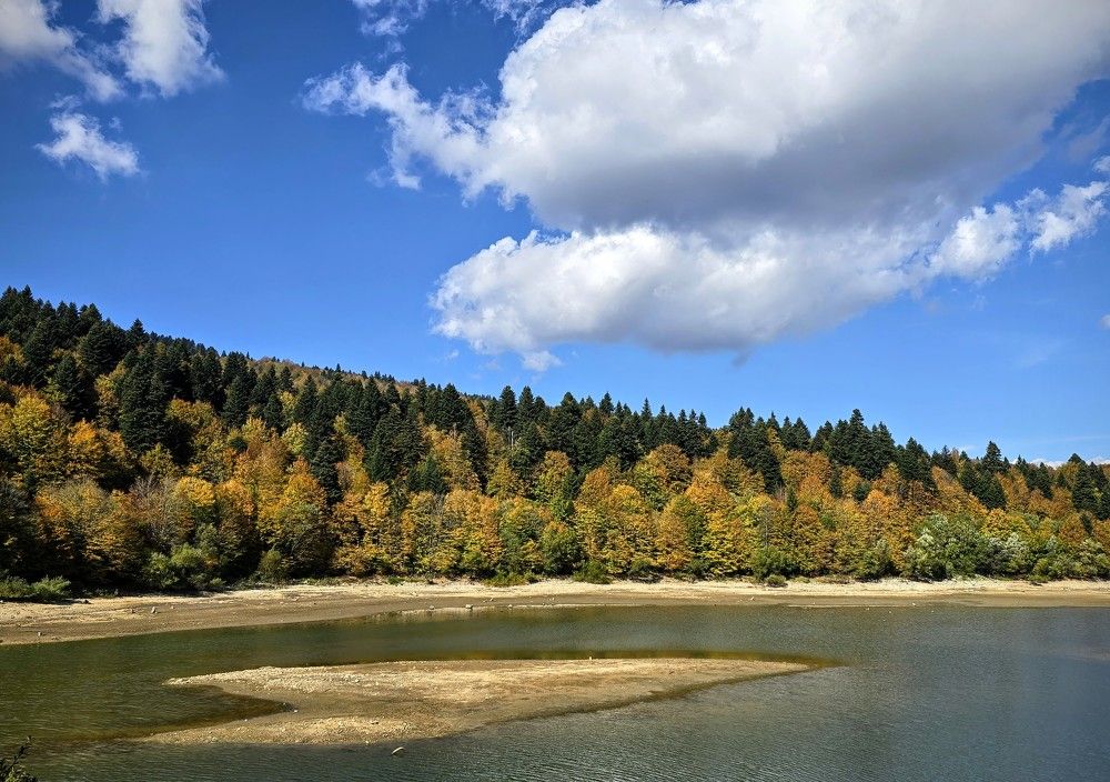 Фотография автора Ольга Костенко