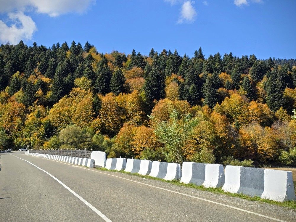 Фотография автора Ольга Костенко