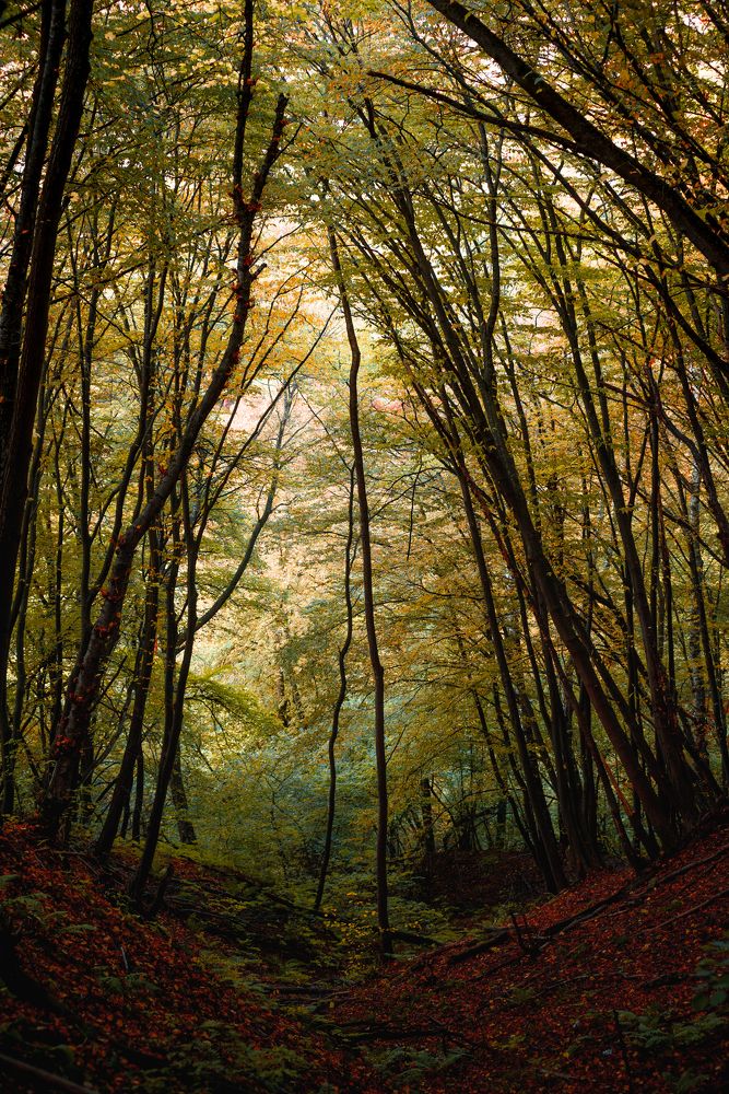 Photograph by Фурман Алексей