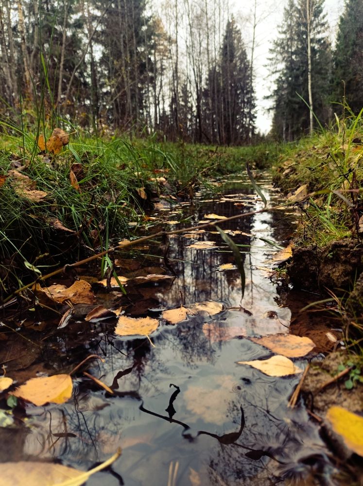 Photograph by Марина