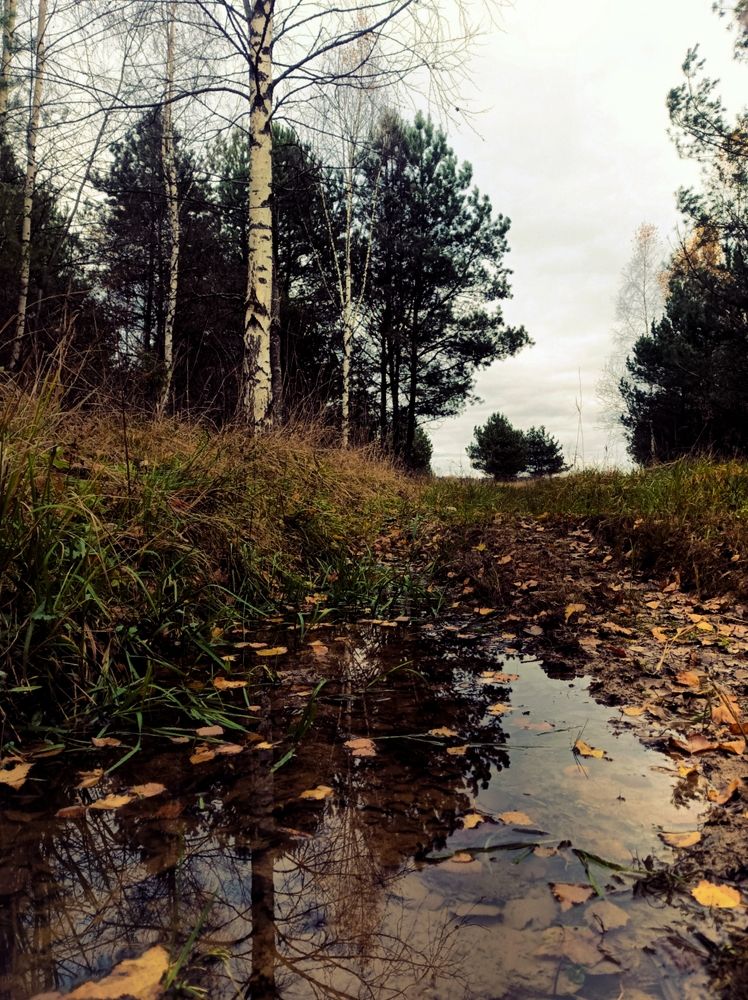 Photograph by Марина