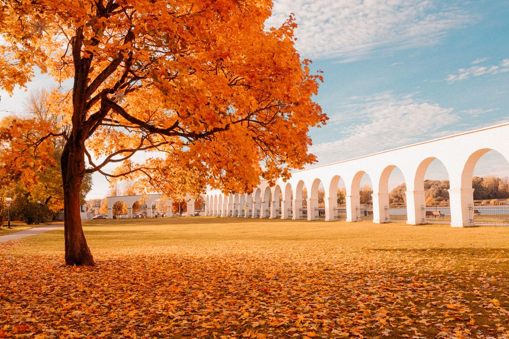 Photograph by Сергей Белокуров